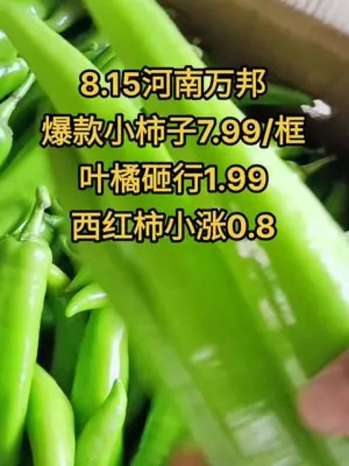 農產品市場行情持續低迷，水果蔬菜優質產品如何破局？
