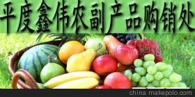 山東玉米市場(chǎng)價(jià)格、廠家信息與農(nóng)產(chǎn)品代理介紹