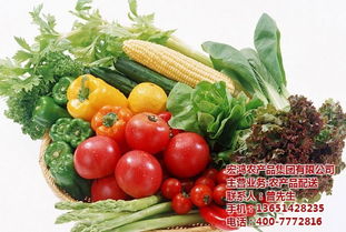 宏鴻農(nóng)產(chǎn)品 蘇州專業(yè)蔬菜配送服務(wù)