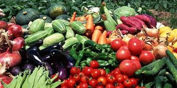 皖校食堂攜手，愛心采購助農惠學